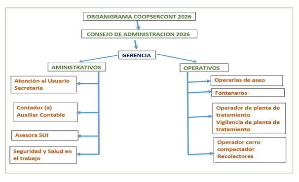 Estructura Organizacional